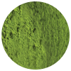 Green tea extract